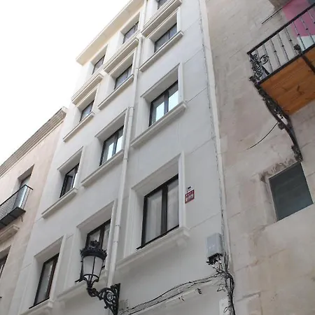 Labradores 13