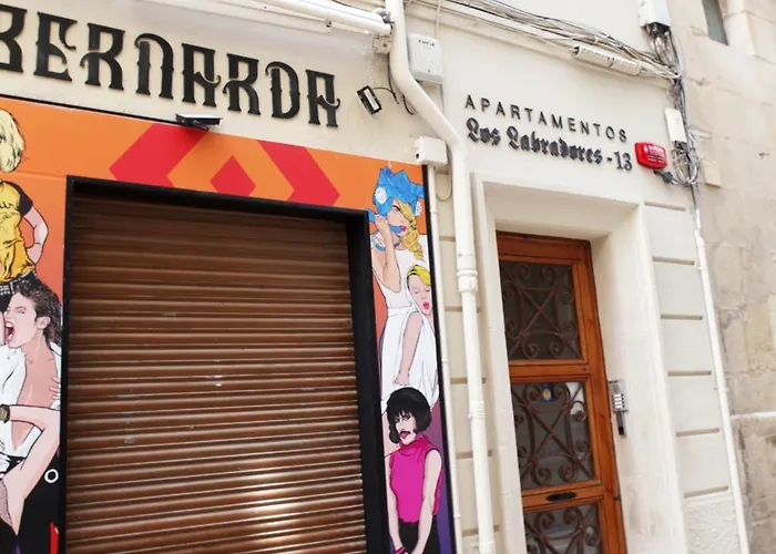 Labradores 13 *