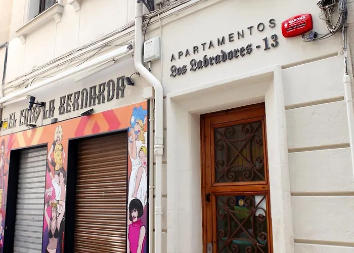 Labradores 13